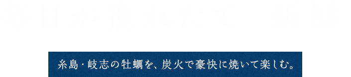 毎日が獲れたて、新鮮。